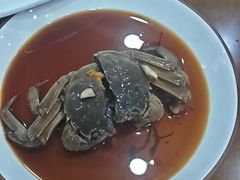 -红灯笼龙凤饭店(宁波老字号店)