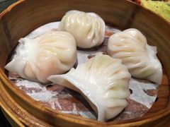-蓝鲸(国浩路店)