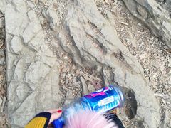 -紫金山天文台