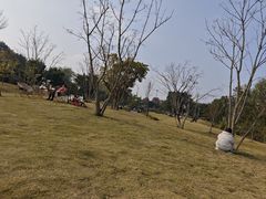 -两河城市森林公园