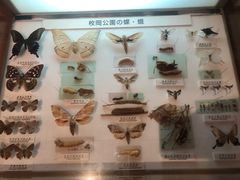-大阪市立自然史博物馆