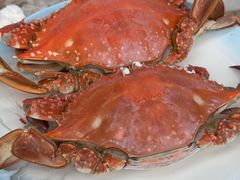 -怡恬园海鲜(恒大威尼斯店)