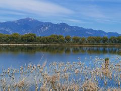 -野鸭湖国家湿地公园