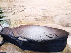 -白鹤梁水下博物馆