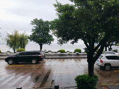 -野菌皇海景野生菌火锅(滨海大道店)