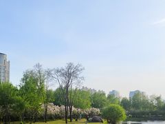 -群力丁香公园