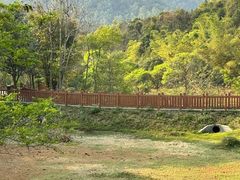 -田心森林公园
