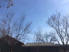 -乐彡炸串·烤苕皮(西单华威约饭街店)