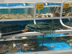 -老船长海鲜加工店(世纪家园店)