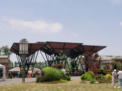 -上海长兴岛郊野公园