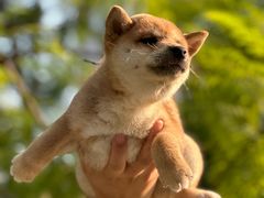 -小八仙·宴(三峡茶庄店)