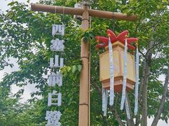 -长田漾湿地公园