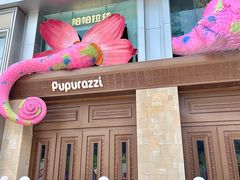 -帕帕拉兹宠物(亚洲旗舰店)