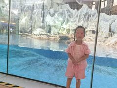 -帝企鹅自助餐厅•儿童岛•真企鹅(长隆企鹅酒店)