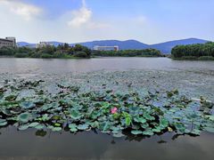 -江南大学(蠡湖校区)
