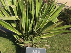 -厦门悦华酒店