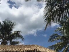 -芽庄珍珠岛游乐园