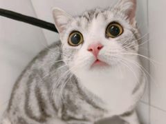 -comecome来吧宠物(奥克斯中心店)