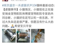 盛京一禾-盛京一禾