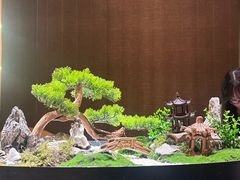 -曼格纳·曼芯馆(杨浦店)