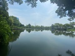 -无锡蠡湖国家湿地公园-蠡园