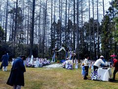 -上海怡沁园度假酒店