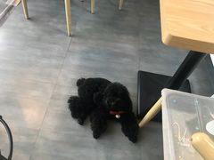 -蜜蜂小象·榴莲千层蛋糕(时代汇11栋店)