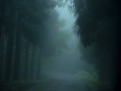 -山王坪喀斯特国家生态公园