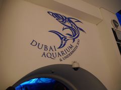 -迪拜水族馆及水下动物园