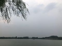 -大兴滨河森林公园