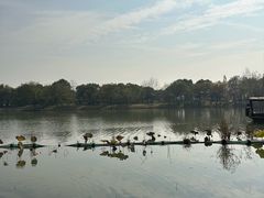 -湘湖大院(越王路店)