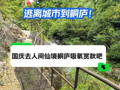 -大奇山国家森林公园