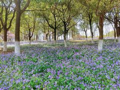 -白塘生态植物园