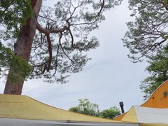 -三鹰之森吉卜力美术馆