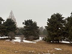 -秦始皇帝陵博物院-丽山园
