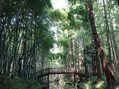 -同里国家湿地公园