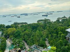 -圣淘沙天际线斜坡滑车