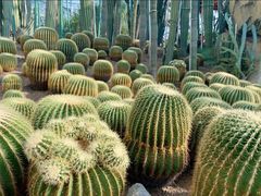 -南山植物园