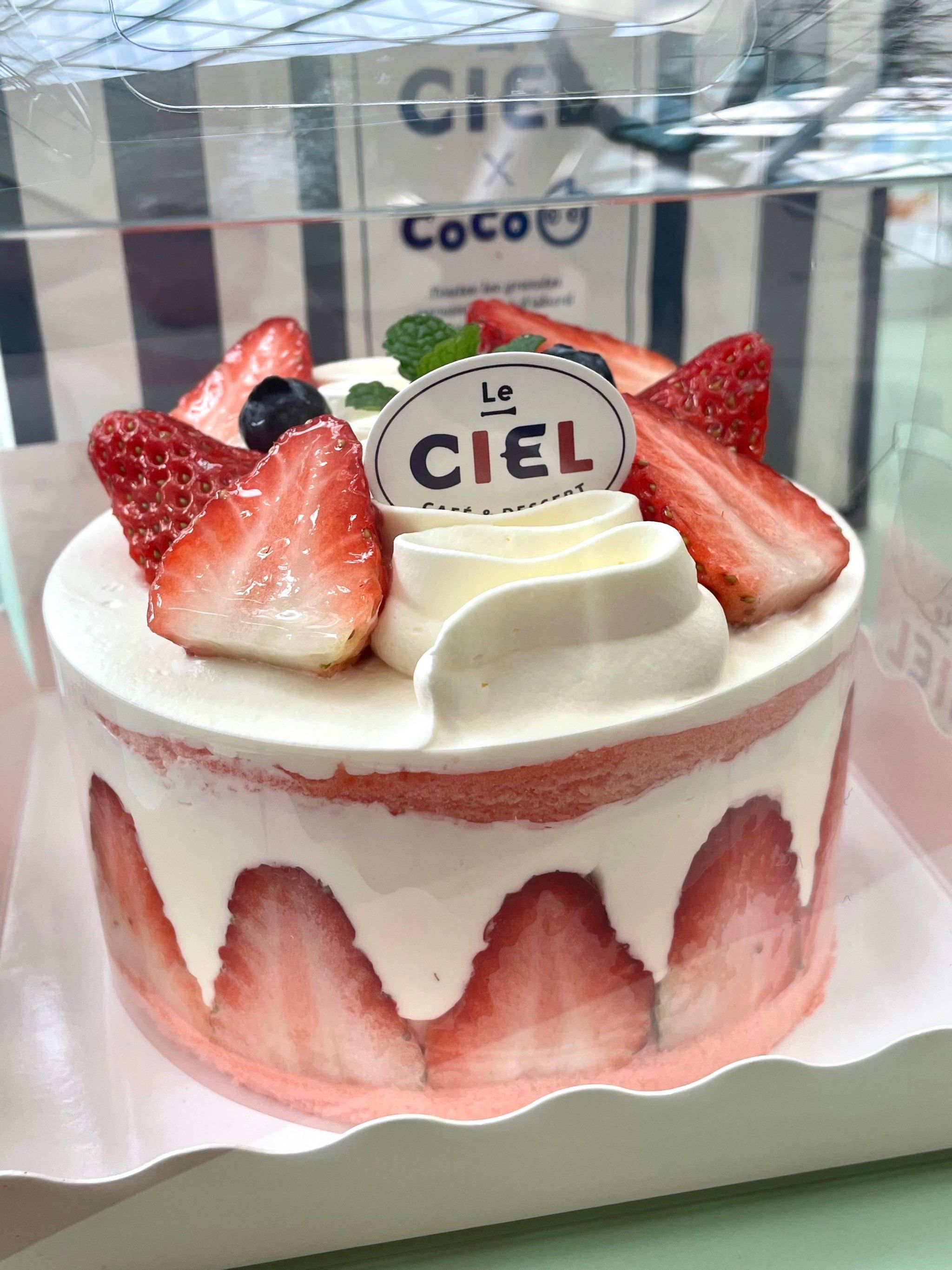 可可爱爱的草莓蛋糕🍓