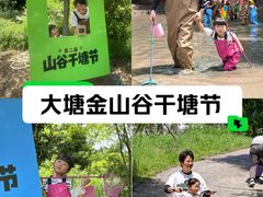 -大塘金香草谷