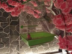 -蓝鲸湾汤泉(包河店)