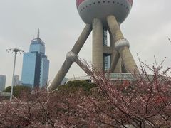 -东方明珠广播电视塔