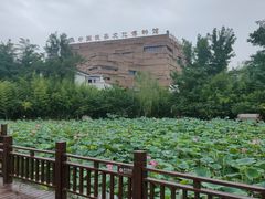 -茯茶镇