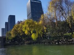 -运河游船(武林门码头)