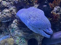 -乌鲁木齐海洋馆