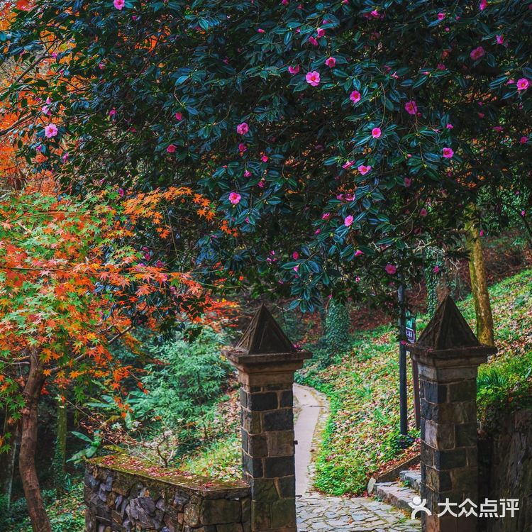 莫干山的深秋,迷人色彩惹人醉
