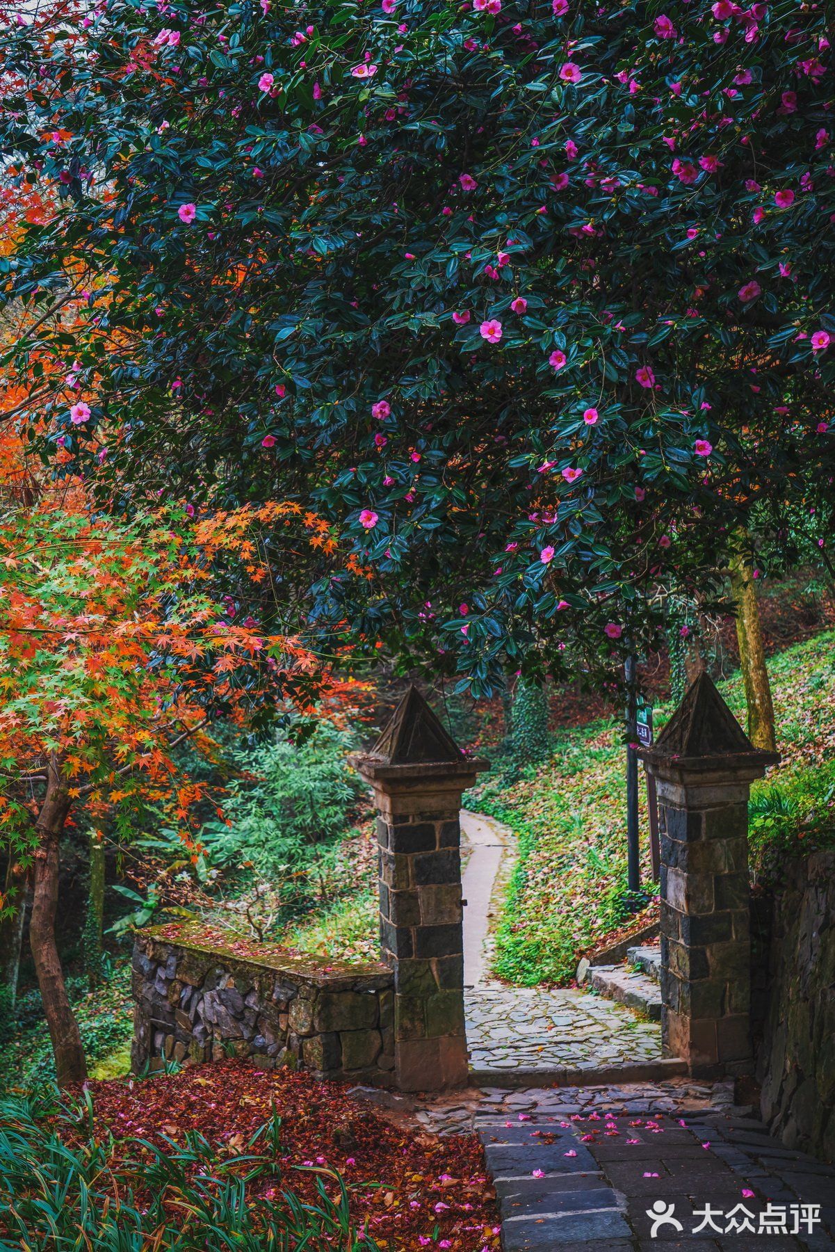 莫干山的深秋，迷人色彩惹人醉