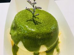 -狐狸和向日葵(北京路店)