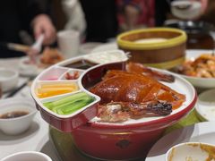 -大鸭梨烤鸭(顺义石园店)