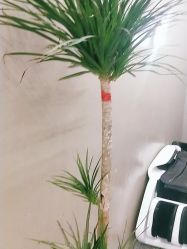 点击看大图 -I+造型烫发染发
